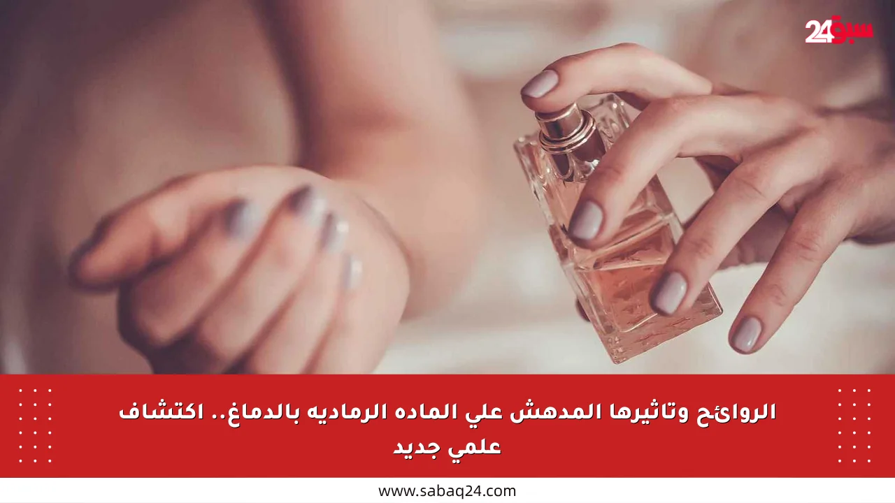 الروائح وتأثيرها المدهش على المادة الرمادية بالدماغ.. اكتشاف علمي جديد
